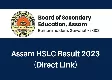 Thumbnail image of 2023 Assam 10th Grade Result Declared | SEBA HSLC Results