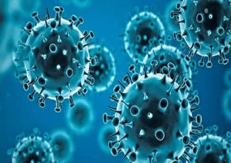 COVID XBB.1.5 more likely to infect the vaccinated Study cautions - Latest News