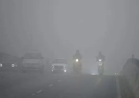 Dense fog, cold wave to continue over north India - Trending Topics