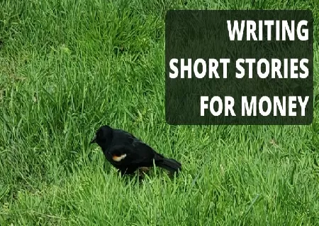 Instasity Platform for Writers to Share Their Short Stories - Business