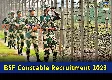 BSF recruitment 2023: Apply for constable posts at rectt.bsf.gov.in