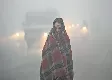 Cold wave prevails in North India, IMD issues red alert for fog | Updates