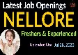 Data Entry Jobs In Nellore For Freshers And Experienced At Pahavio Software Solutions