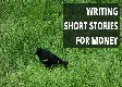 Instasity Platform for Writers to Share Their Short Stories