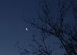 Moon, Jupiter and Venus Come Together in Night Sky