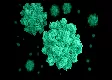 Norovirus appears to be spreading as rate of positive tests spikes