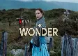 The Wonder review: Florence Pugh shines in an Irish gothic mystery