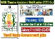 TN MRB recruitment 2023: 335 Theatre Assistant posts on offer