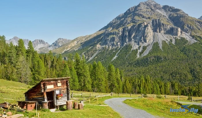 Swiss National Park  - Switzerland