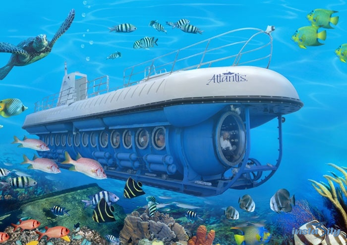 Whale Submarine - Maldives