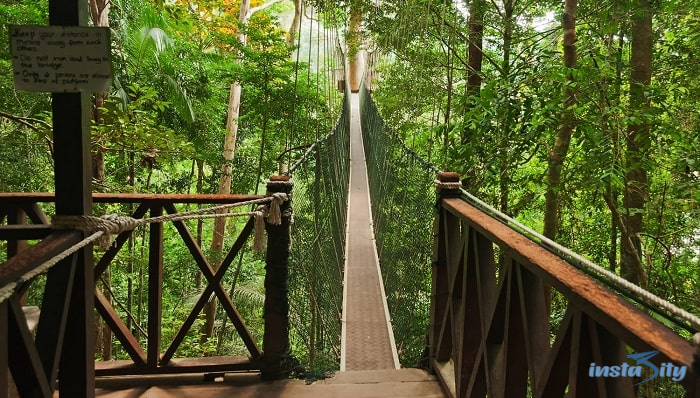 Taman Negara - Malaysia