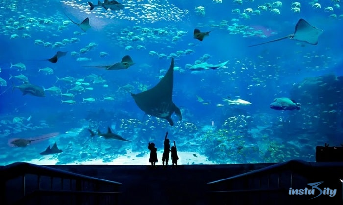 S.E.A. Aquarium - Singapore
