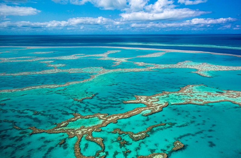 Great Barrier Reef Marine Park, Queensland