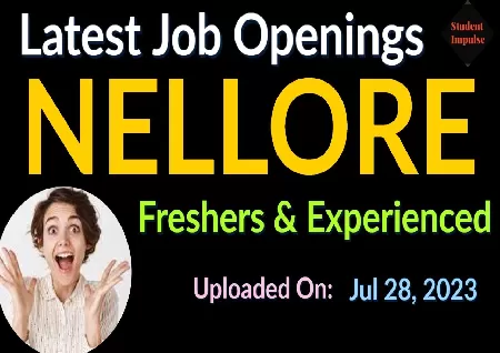 Data Entry Jobs In Nellore For Freshers And Experienced At Pahavio Software Solu...